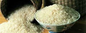 مازندران قطب تولید برنج در کشور با ایده‌آل‌ها فاصله دارد
