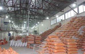مصرف کودهای تولیدی شرکت آذین شیمی میزان برداشت برنج را دو برابرمی کند