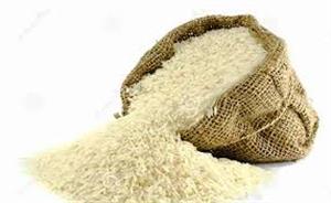 سالانه 42 درصد نیازكشور برنج سفید در مازندران تولید می شود