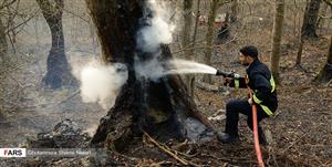 بیش از ۲۳هکتار از مناطق جنگلی مازندران دچارحریق شد